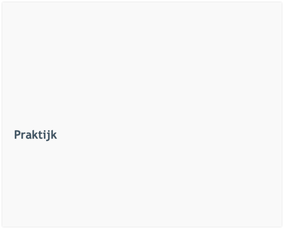 Praktijk
